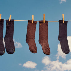 Everyday Anchor Line Crew Socks